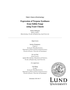 open file